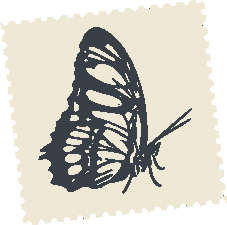 Transformation design